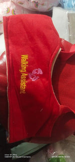 Load image into Gallery viewer, Baby Walker Assistant Belt