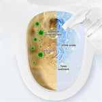 Load image into Gallery viewer, Multi-Purpose Stain Removal Spray