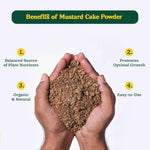 Load image into Gallery viewer, Bloom Fuel Mustard Fertilizer
