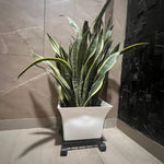 Load image into Gallery viewer, Metal Stand With Wheels For Planters
